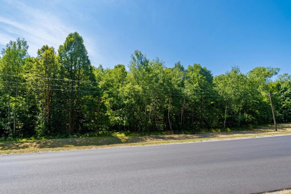 Morrison 0.68 Acres, 080728000 Secluded - Flinstone Rd. Cushing, MN 56443